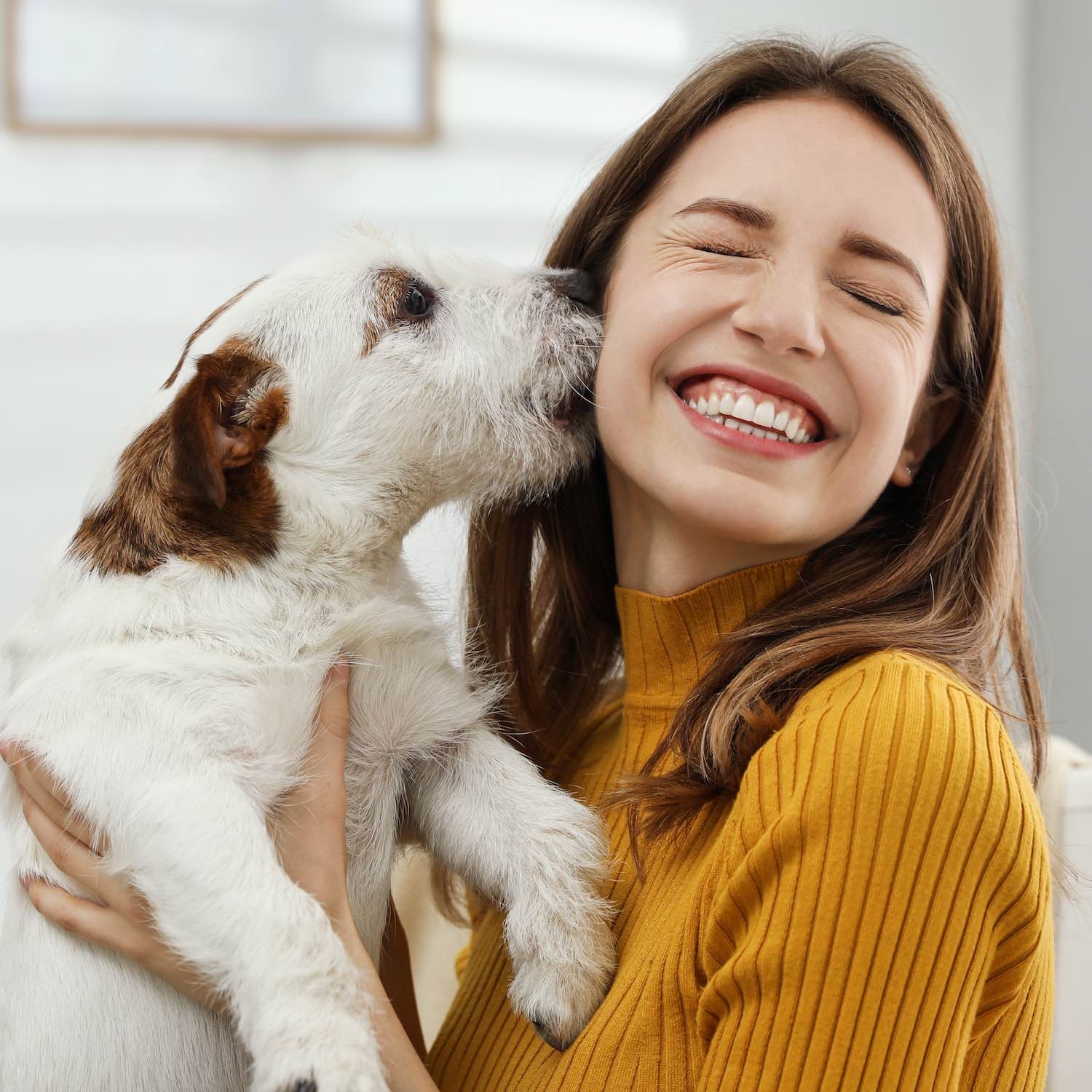 produits-veterinaires-teloche-mulsanne